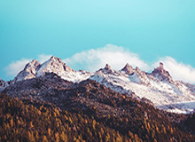 数据挖掘：12.0.1“午夜”测试服职业与技能平衡性调整