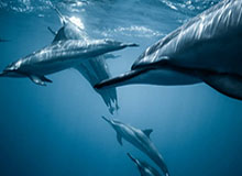 《午夜》版本战士必备指南：交互式玩法、怒气机制与冷却管理